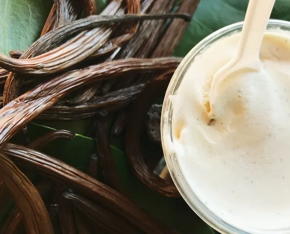 a view of a backyard with plants and a patio