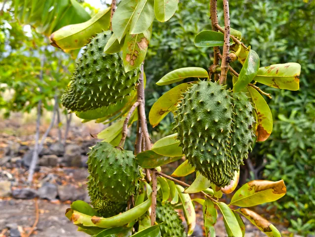 $2,100,000 | 73-4301 Laui Street, Kailua-Kona, HI 96740