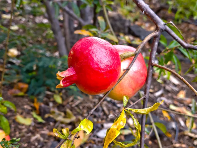 $2,100,000 | 73-4301 Laui Street, Kailua-Kona, HI 96740