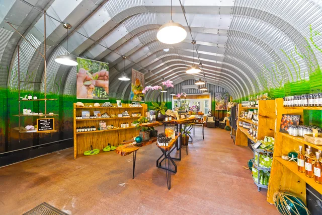 a view of a balcony with chairs and potted plants