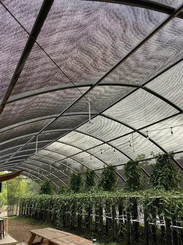 a outdoor living space with furniture and flowers