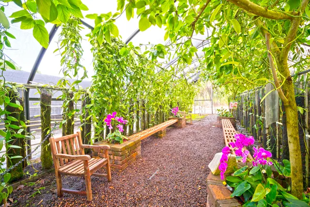 a close up of a stove