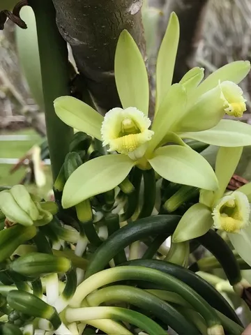 a view of a house with table and chairs under an umbrella