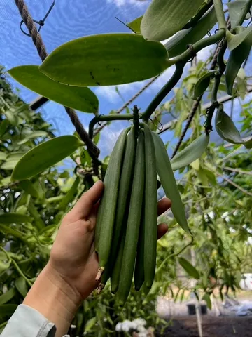 a view of a backyard with a patio