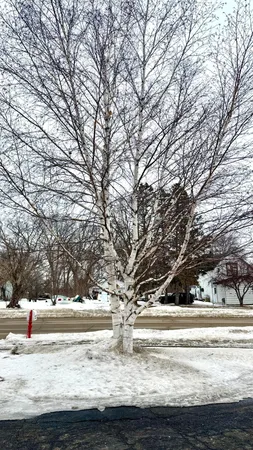 $248,500 | 788 4th Street, Audubon, MN 56511