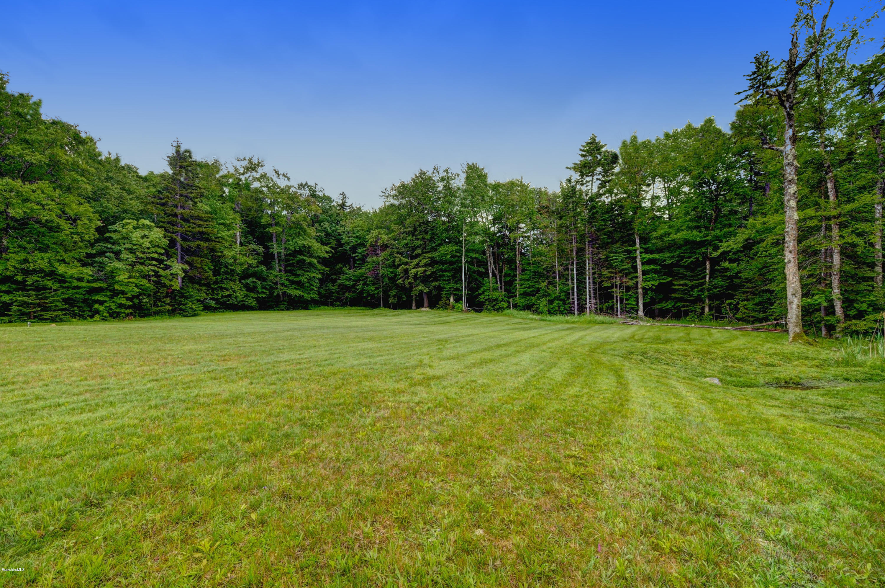 11 Andes Road Peru, MA 01235 - Photo 12 of 29 a view of a field with trees in the background