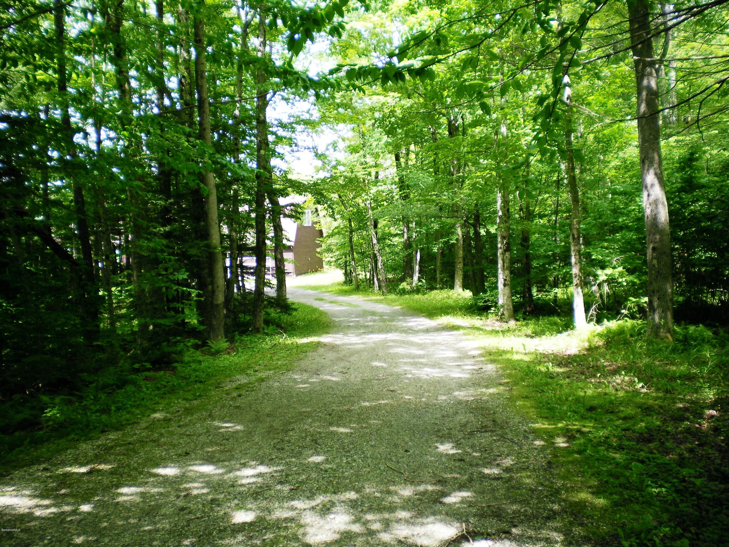 11 Andes Road Peru, MA 01235 - Photo 3 of 29 a view of a trees with a tree in a yard