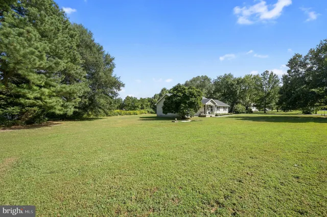 a view of a field with an ocean