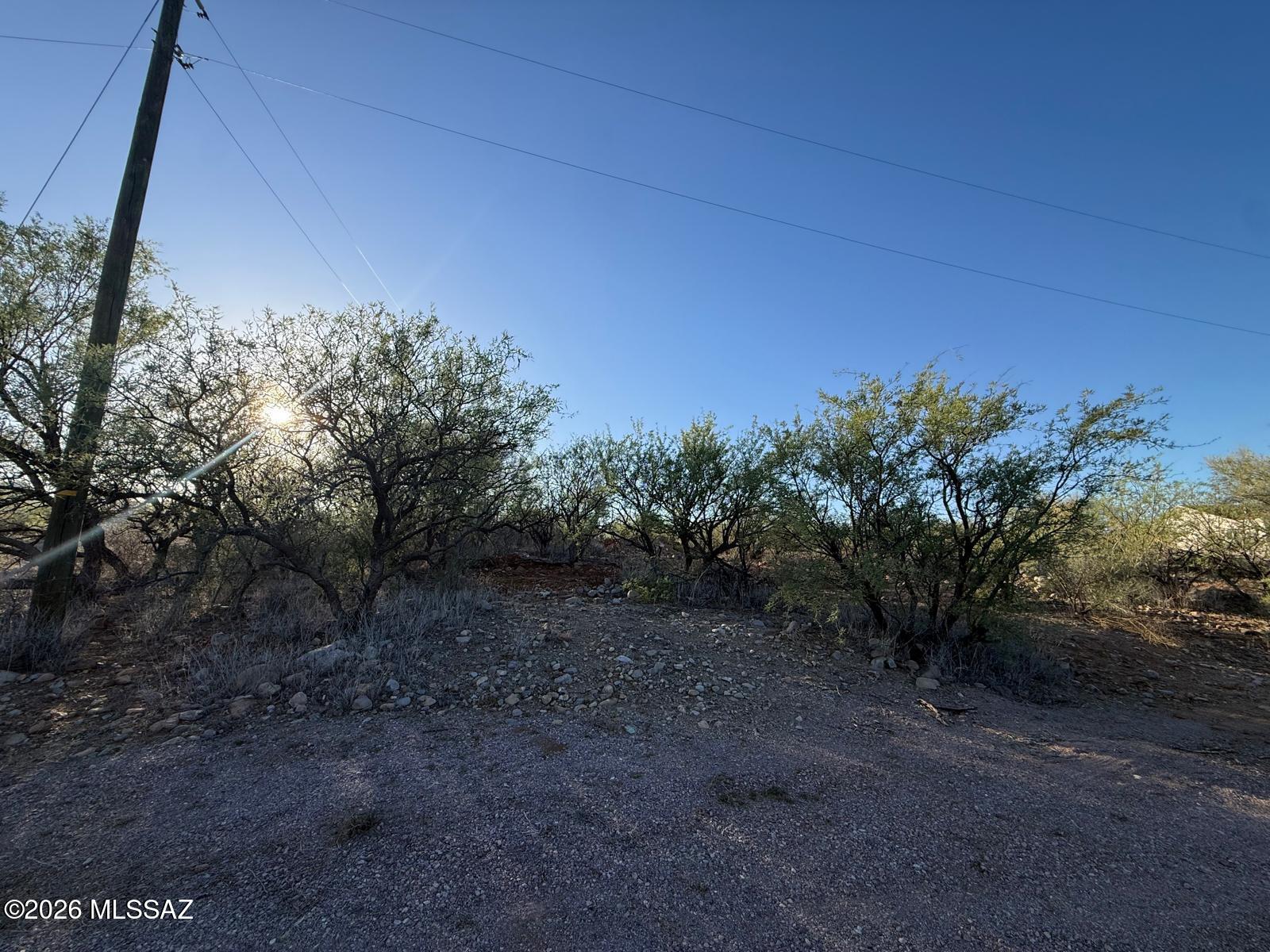 1771 Alder Court, Unit 12 Rio Rico, AZ 85648 - Photo 3 of 3 Alder Ct