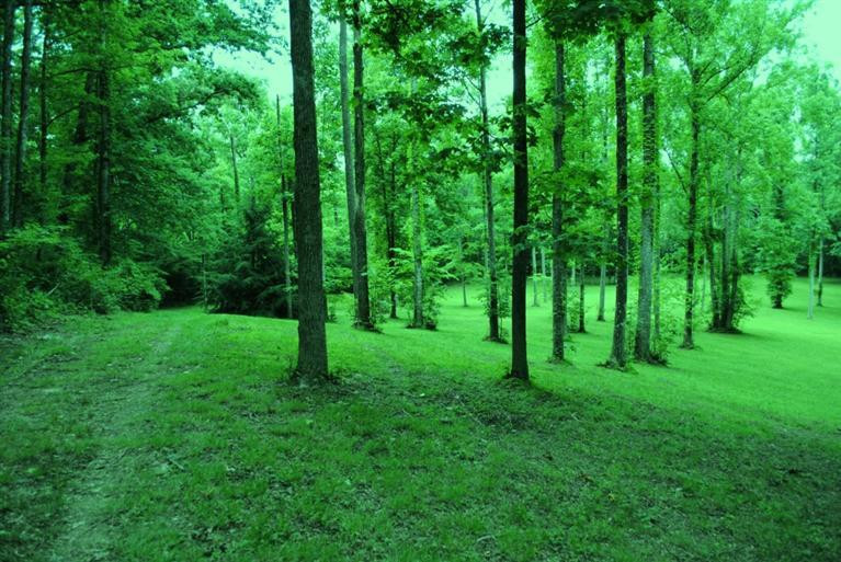 376 Ike Monhollen Road Corbin, KY 40701 - Photo 30 of 41 Photo 30