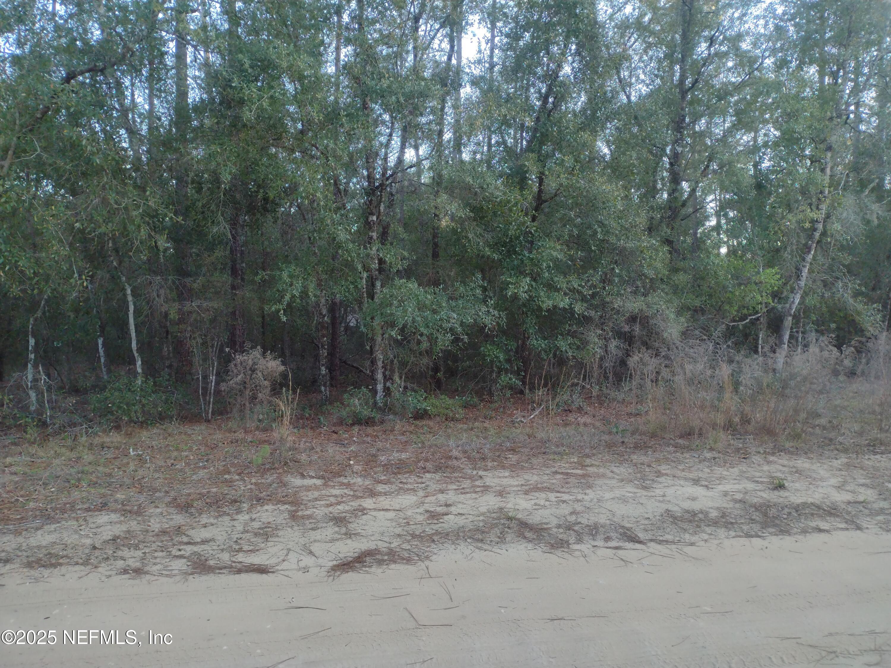 89 Tucker Lake Road Melrose, FL 32666 - Photo 3 of 6 89TuckerLakeRd