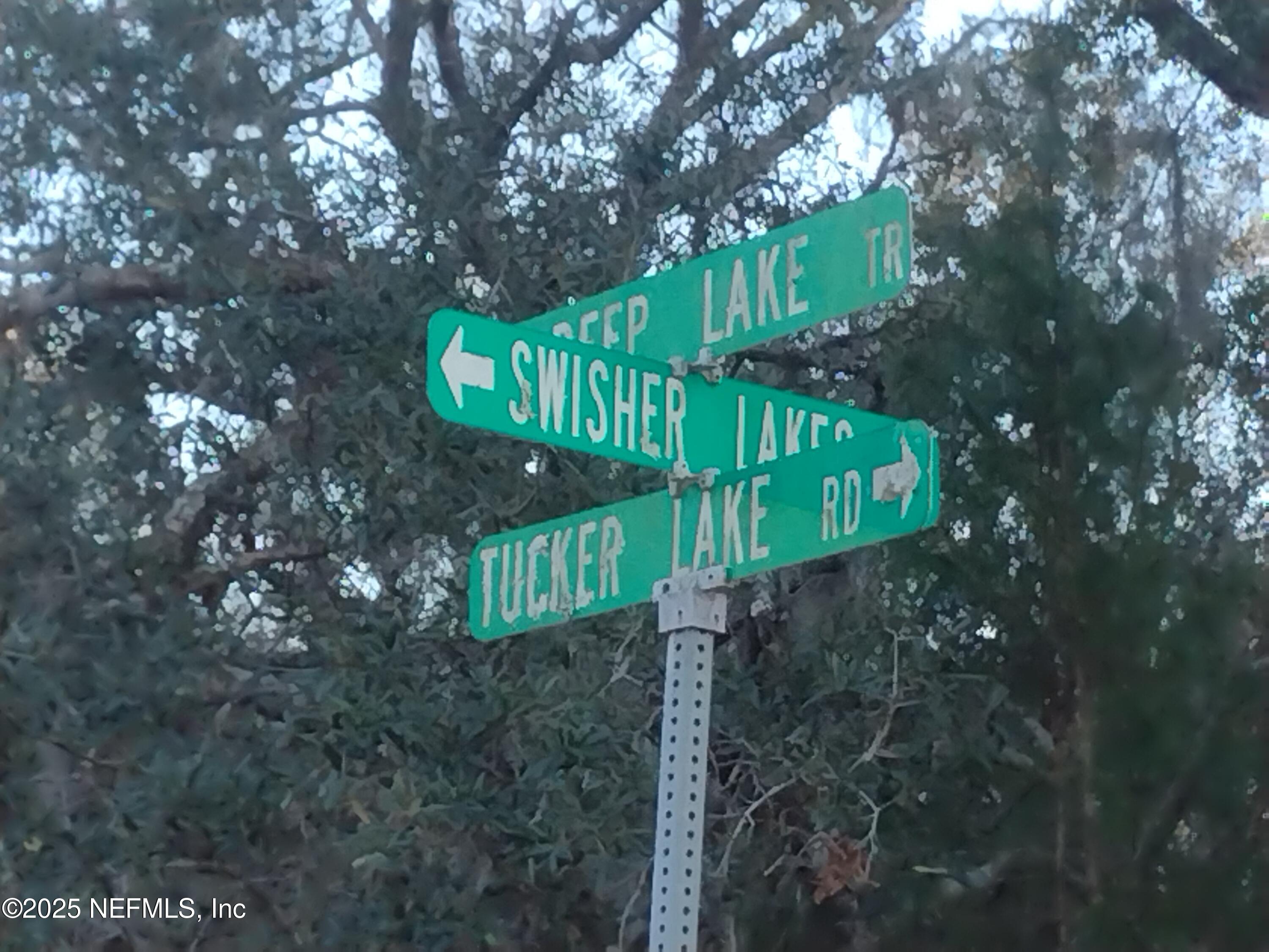 89 Tucker Lake Road Melrose, FL 32666 - Photo 4 of 6 SwisherLakes