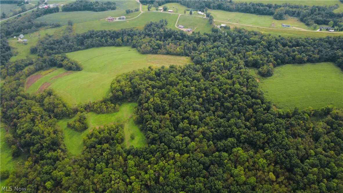 212 Township Road Fresno, OH 43824 - Photo 19 of 50 Expansive acreage featuring mature woodlands and open green clearings