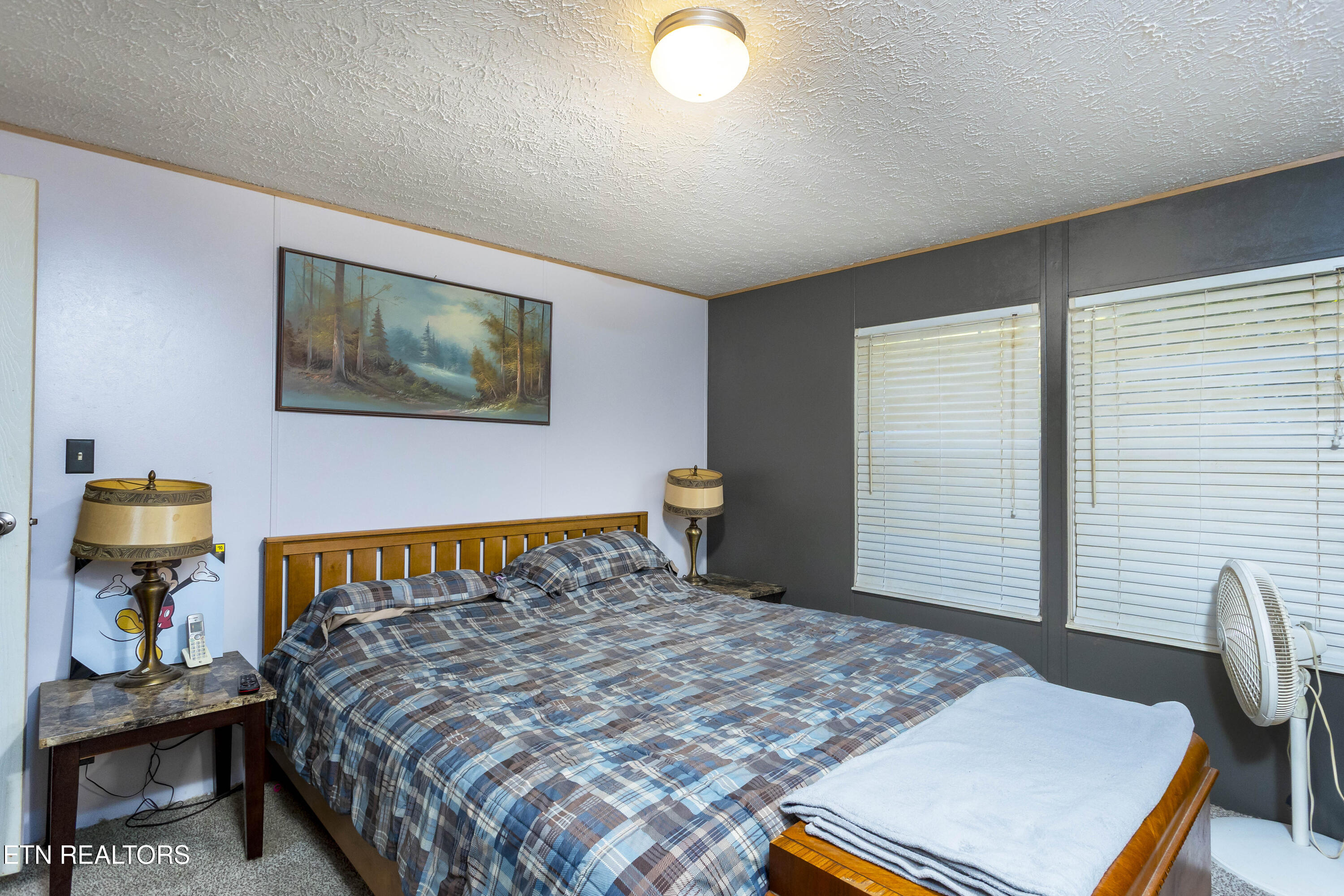 25 Blackberry Lane Spring City, TN 37381 - Photo 11 of 26 Generous primary suite