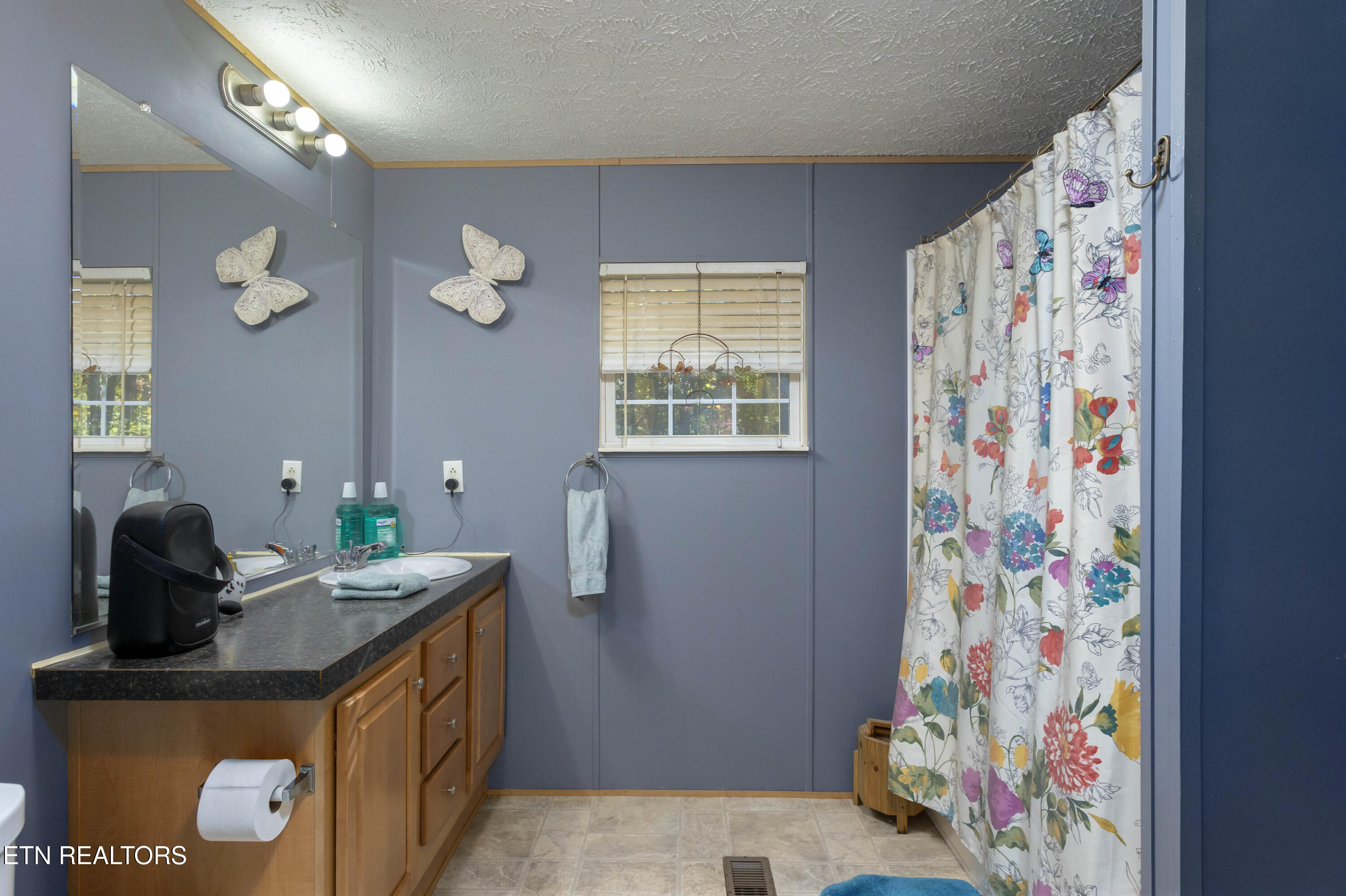 25 Blackberry Lane Spring City, TN 37381 - Photo 12 of 26 Primary bath