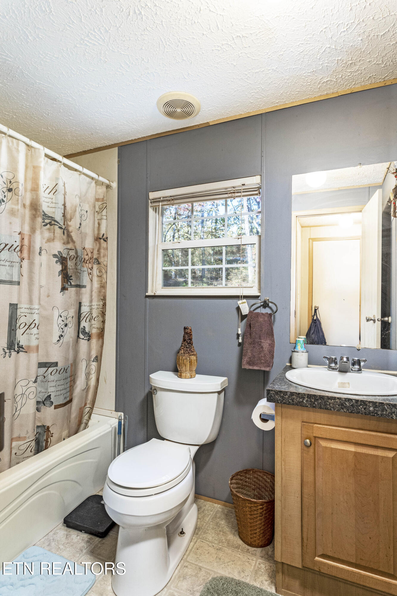 25 Blackberry Lane Spring City, TN 37381 - Photo 13 of 26 Second bath