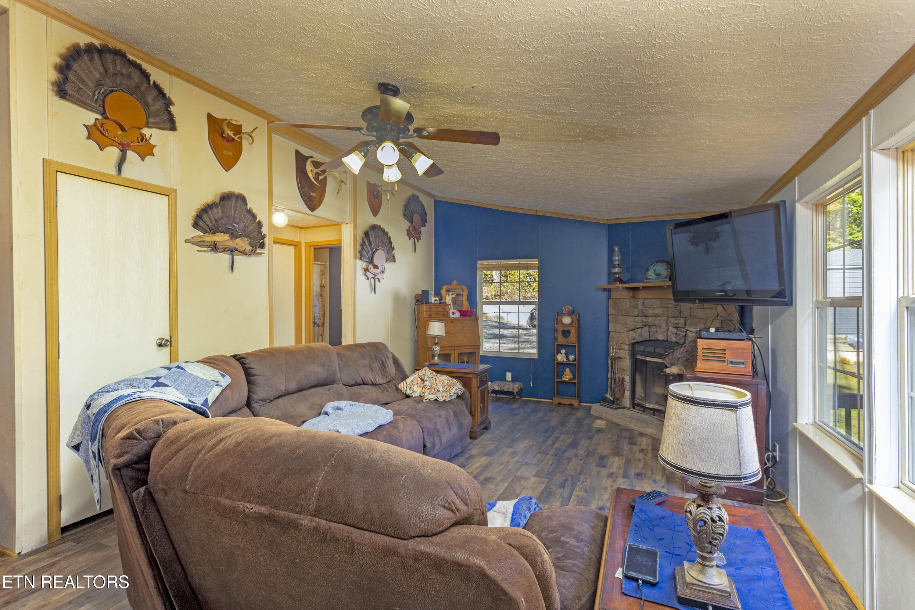 25 Blackberry Lane Spring City, TN 37381 - Photo 5 of 26 Cozy great room