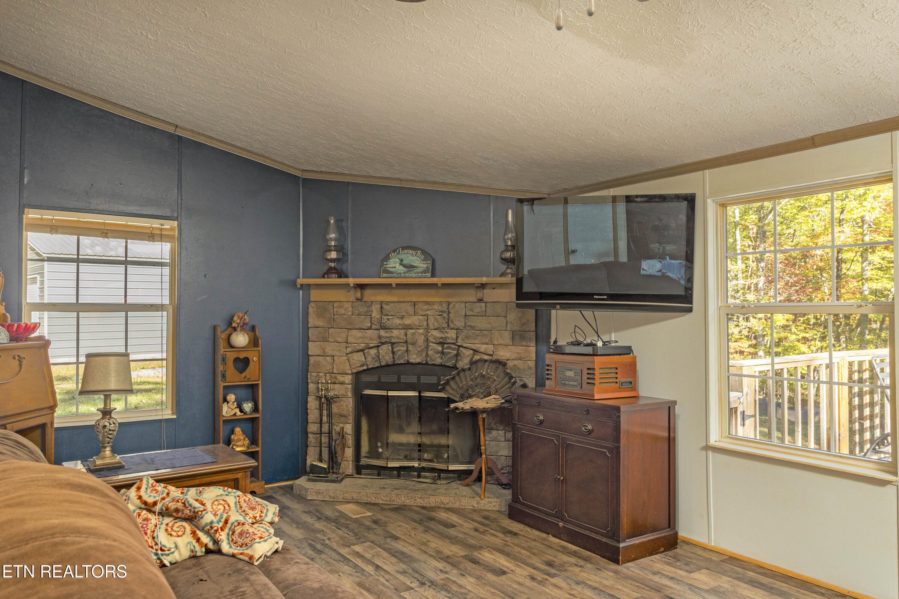 25 Blackberry Lane Spring City, TN 37381 - Photo 6 of 26 10