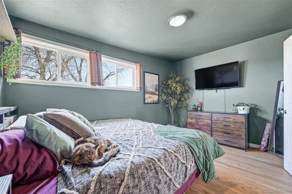 a bedroom with a bed and a flat screen tv