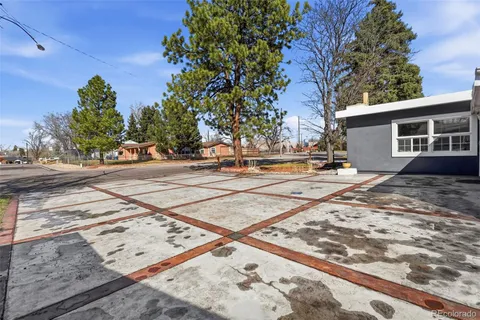 a view of a backyard with a tree