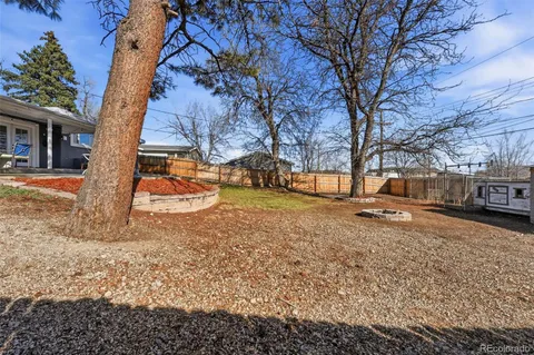 a view of a yard with a tree