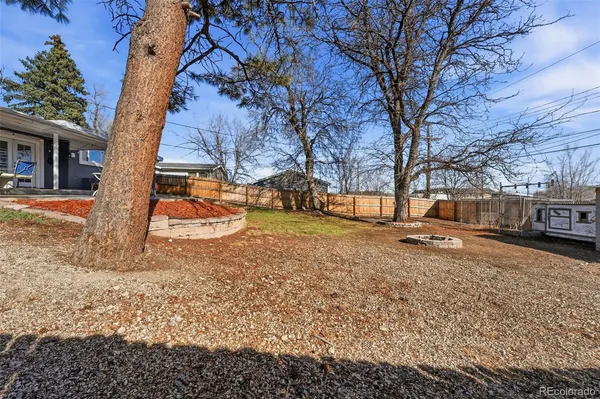 a view of a yard with a tree