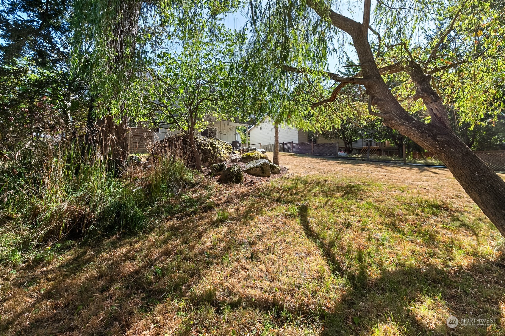 1388 Welling Road Bellingham, WA 98226 - Photo 40 of 40 a view of backyard with tree