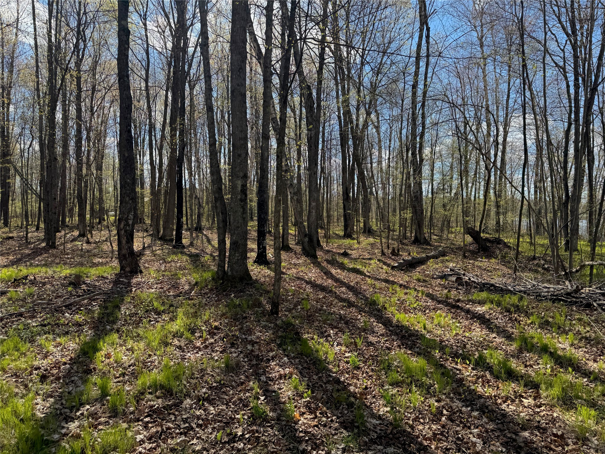 Lot 7 Trapper Trail Hayward, WI 54843 - Photo 26 of 42