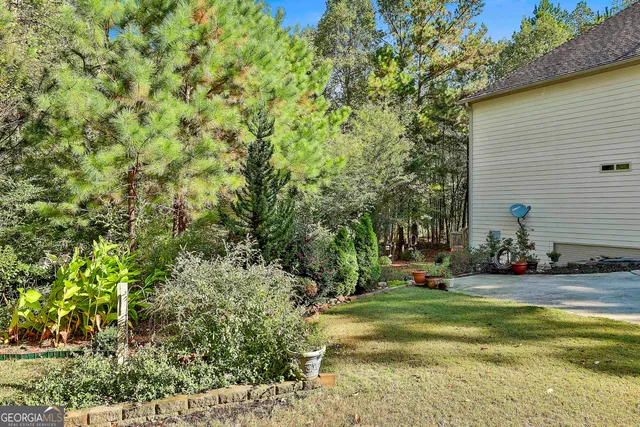 a view of a backyard with plants and a garden