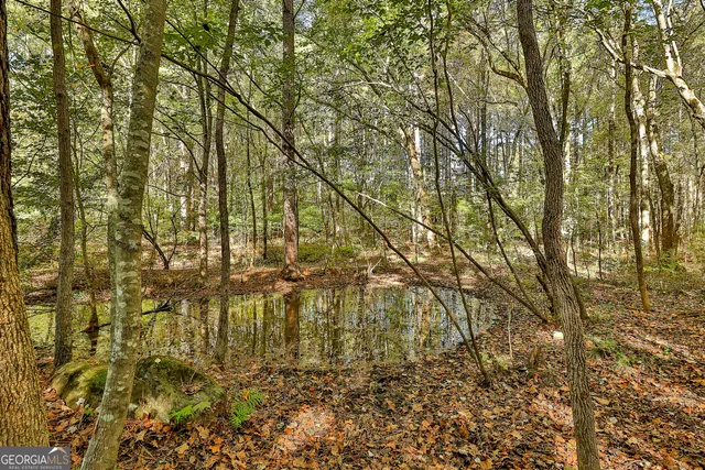 a view of residential house with green space