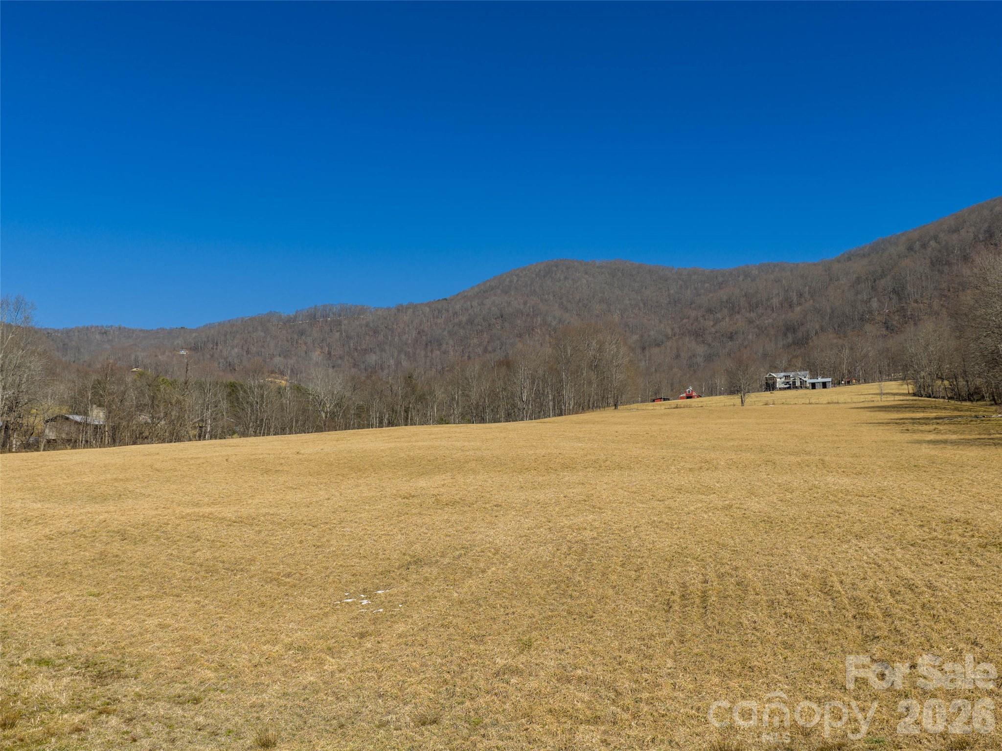 0 Sallys Branch Road Clyde, NC 28721 - Photo 11 of 15