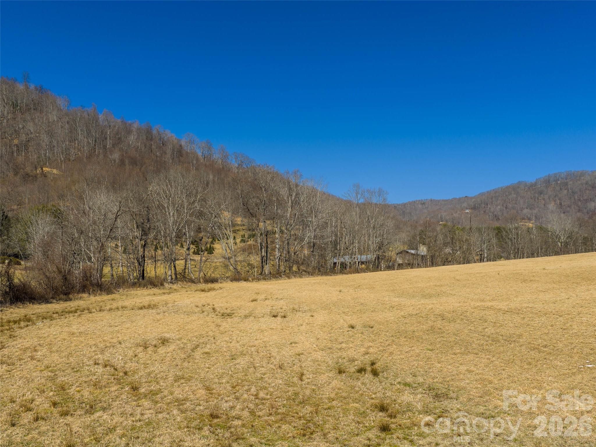 0 Sallys Branch Road Clyde, NC 28721 - Photo 12 of 15