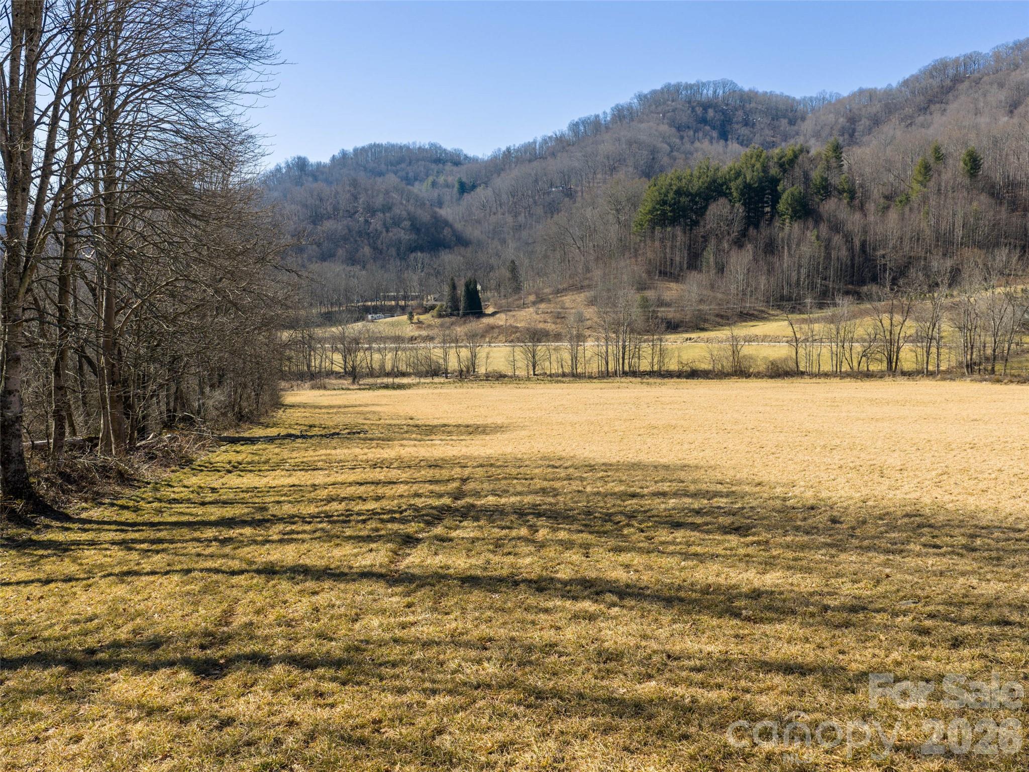 0 Sallys Branch Road Clyde, NC 28721 - Photo 3 of 15