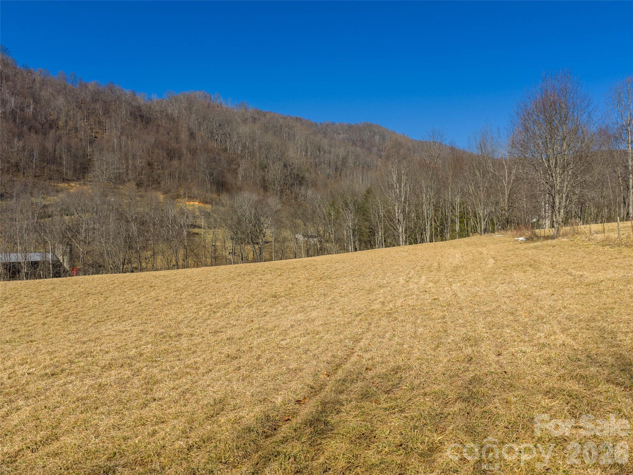 0 Sallys Branch Road Clyde, NC 28721 - Photo 4 of 15