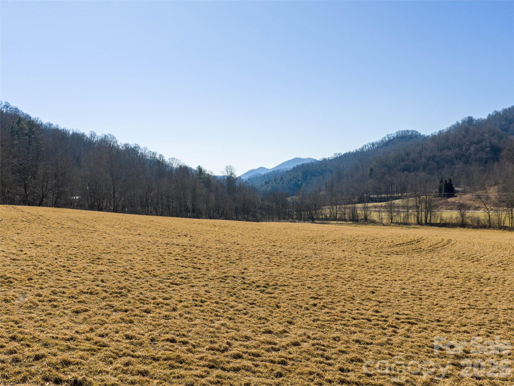 0 Sallys Branch Road Clyde, NC 28721 - Photo 6 of 15