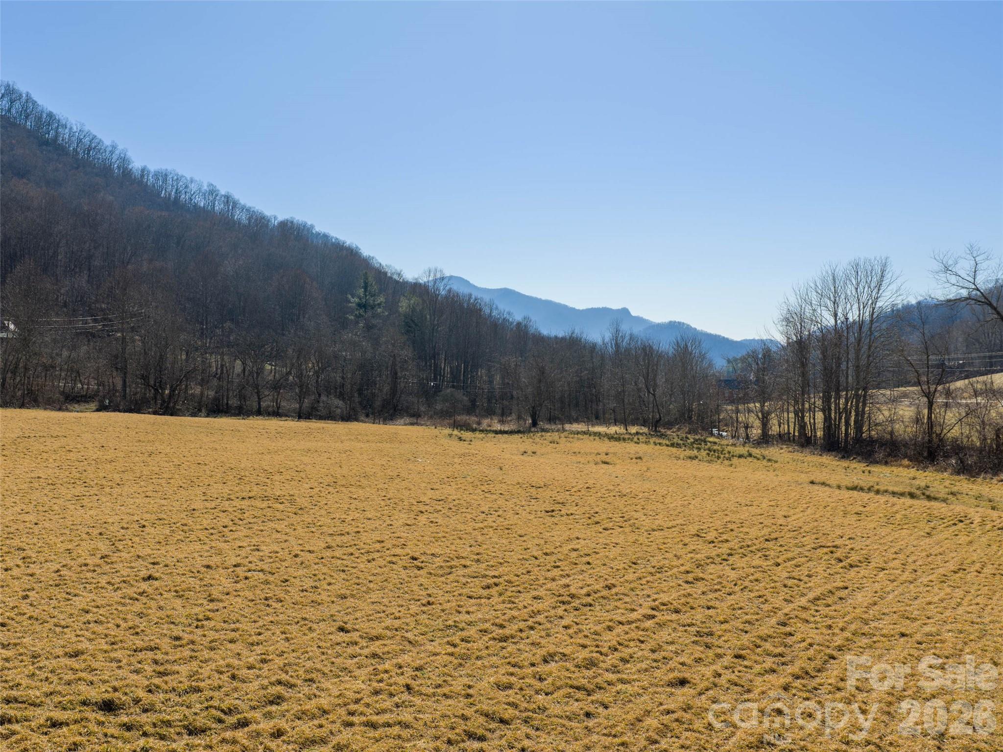 0 Sallys Branch Road Clyde, NC 28721 - Photo 8 of 15