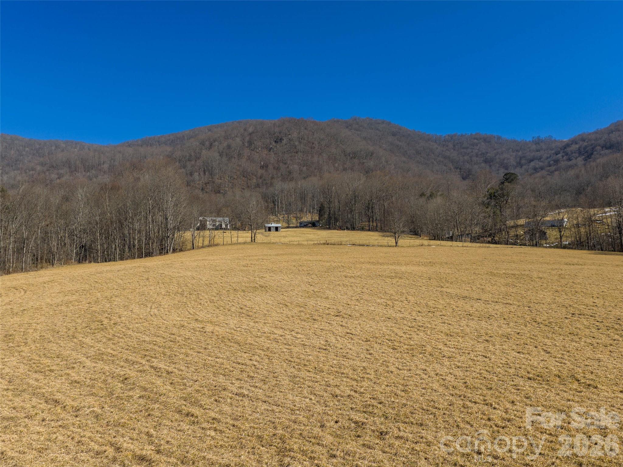 0 Sallys Branch Road Clyde, NC 28721 - Photo 9 of 15