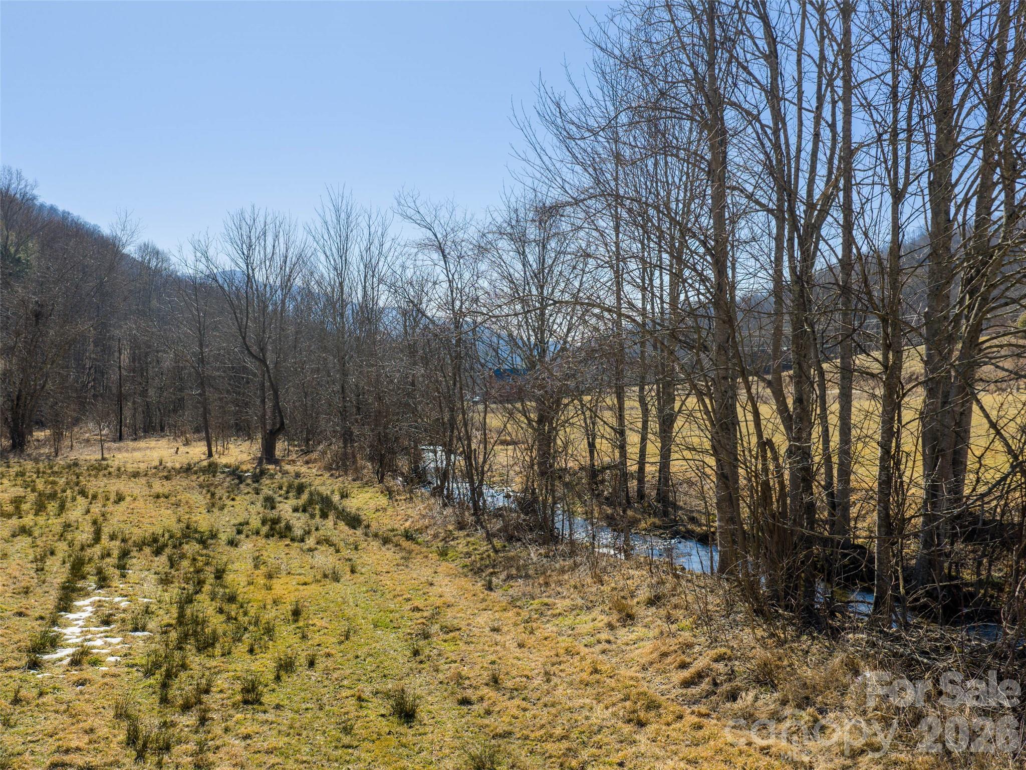 0 Sallys Branch Road Clyde, NC 28721 - Photo 10 of 15