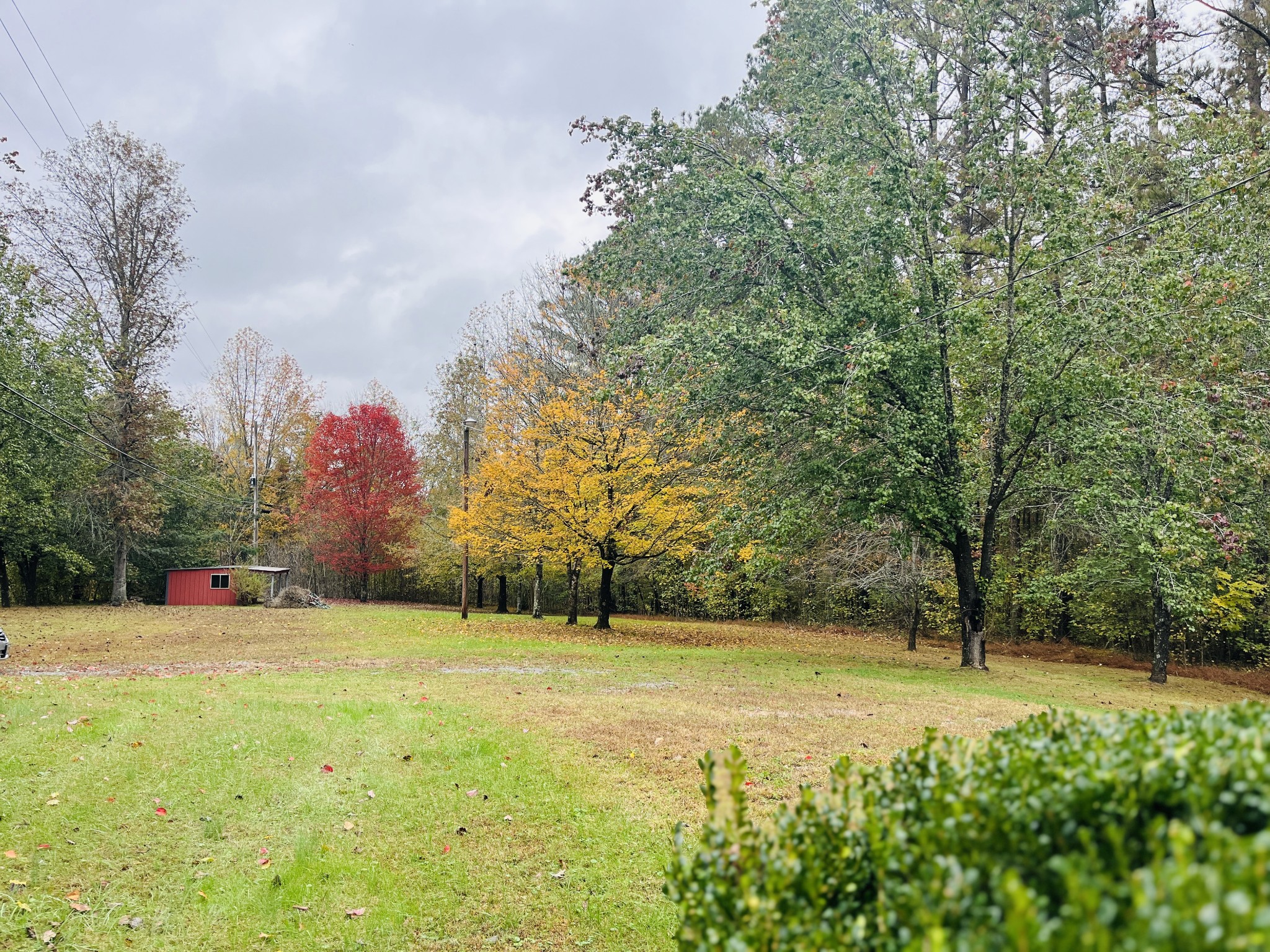 4484 Jefferson Road Smithville, TN 37166 - Photo 16 of 18 a view of swimming pool with an outdoor space