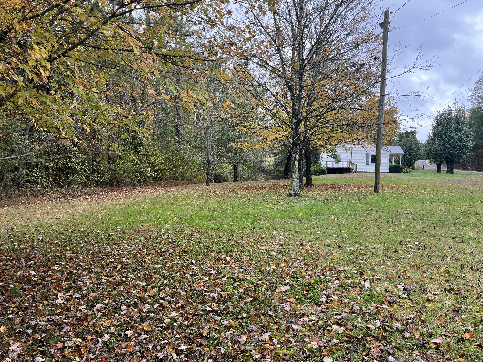 4484 Jefferson Road Smithville, TN 37166 - Photo 17 of 18 a view of a field with of trees