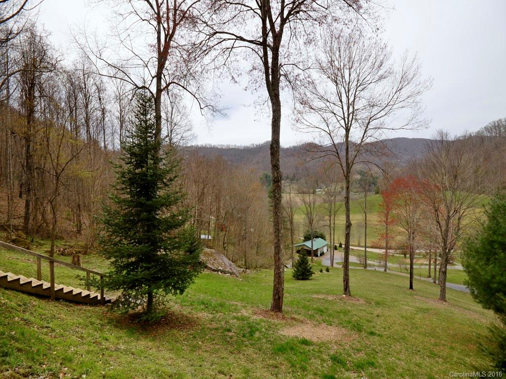 502 Sugar Cove Road Clyde, NC 28721 - Photo 2 of 24 a view of a park