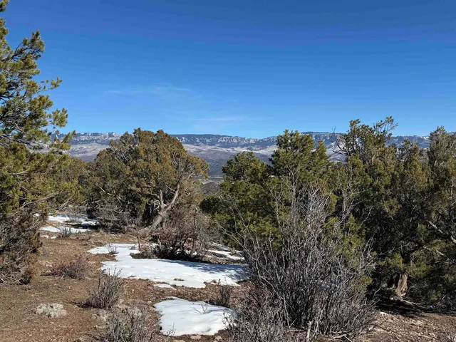 $399,000 | Tbd Pine Drive, Unit 38, Ridgway, CO 81432