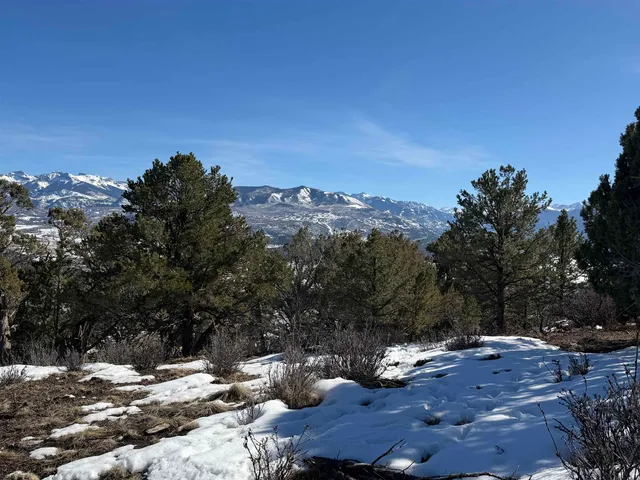 $399,000 | Tbd Pine Drive, Unit 38, Ridgway, CO 81432
