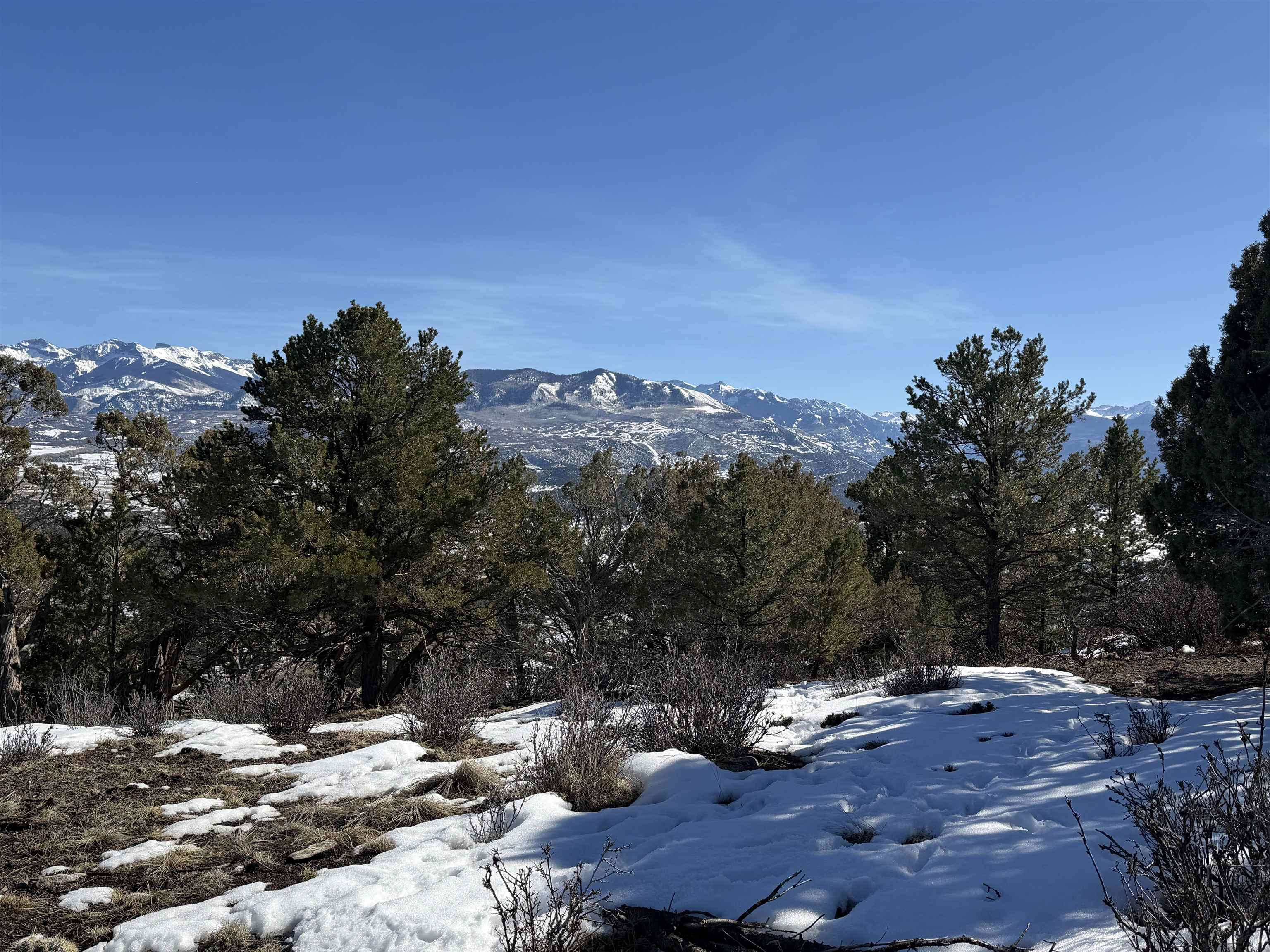 Tbd Pine Drive, Unit 38 Ridgway, CO 81432 - Photo 18 of 26