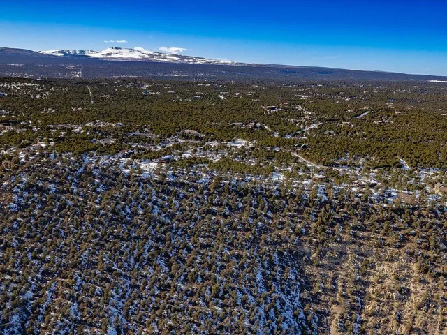 $399,000 | Tbd Pine Drive, Unit 38, Ridgway, CO 81432