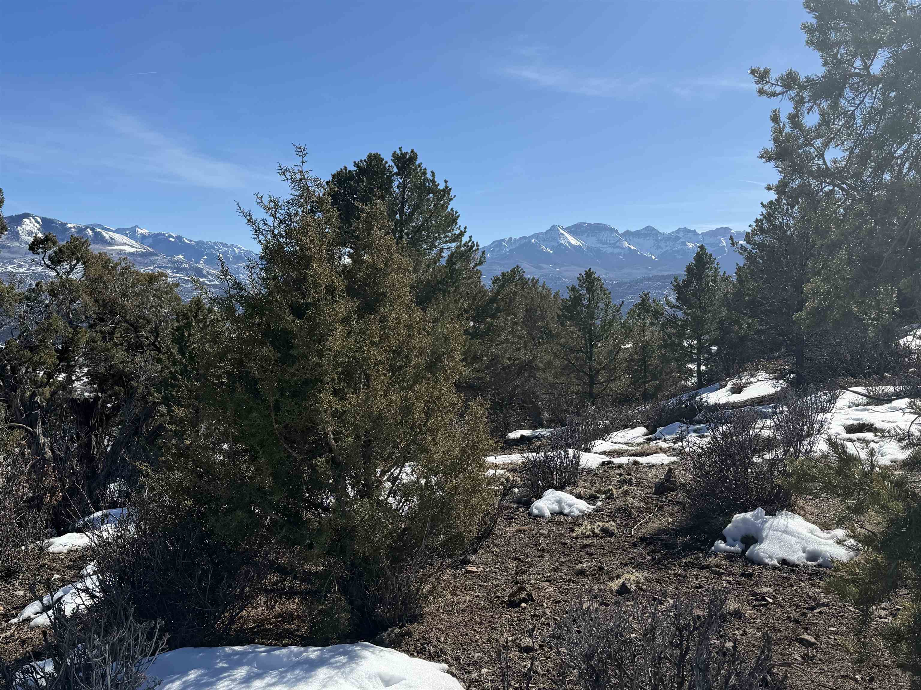 Tbd Pine Drive, Unit 38 Ridgway, CO 81432 - Photo 20 of 26