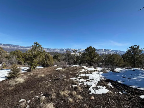 $399,000 | Tbd Pine Drive, Unit 38, Ridgway, CO 81432