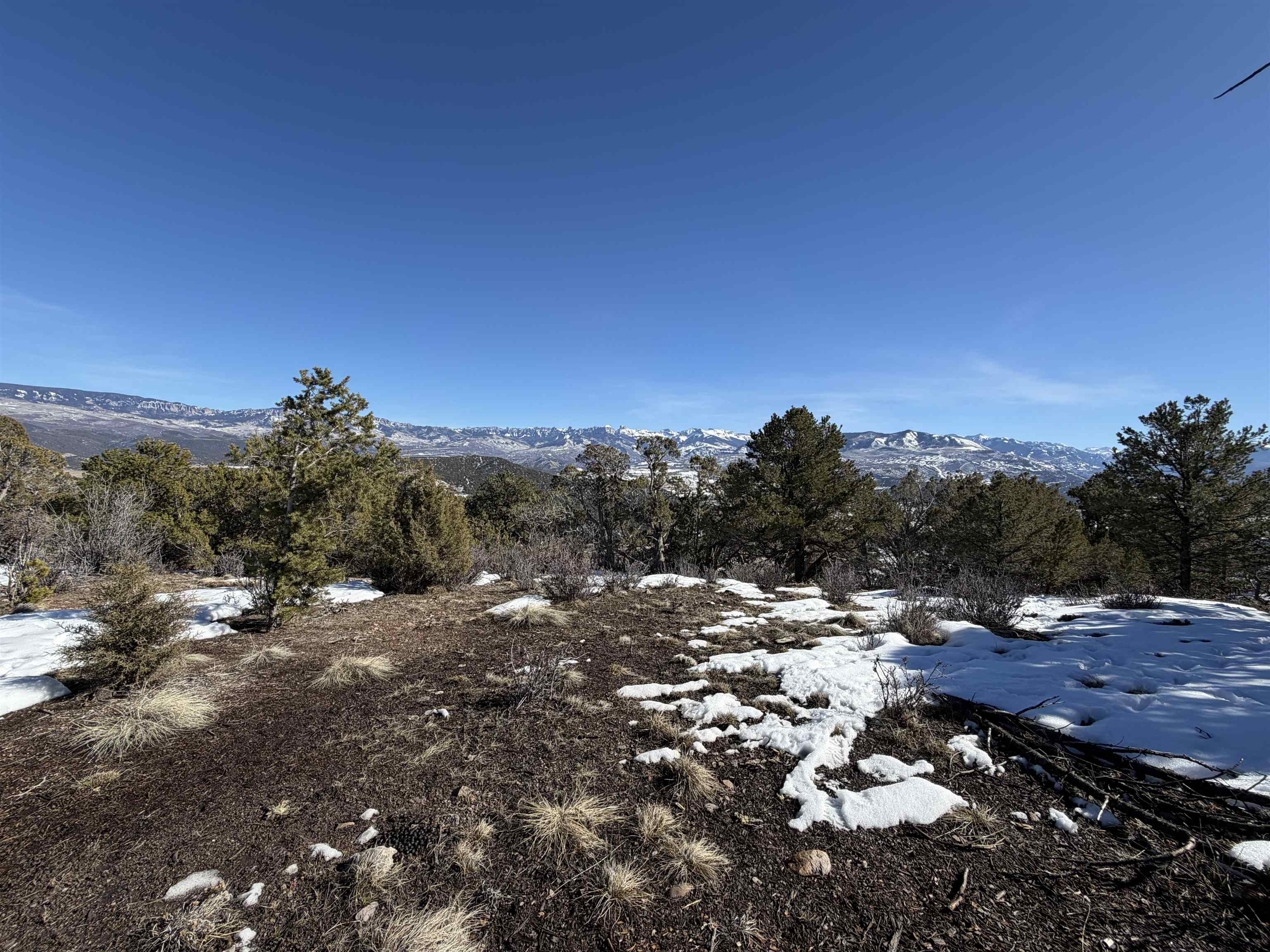 Tbd Pine Drive, Unit 38 Ridgway, CO 81432 - Photo 24 of 26