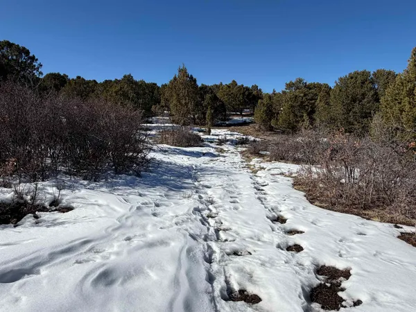 $399,000 | Tbd Pine Drive, Unit 38, Ridgway, CO 81432