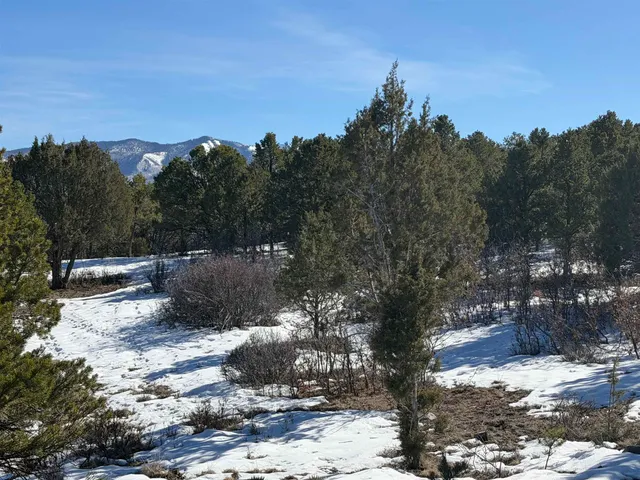 $399,000 | Tbd Pine Drive, Unit 38, Ridgway, CO 81432